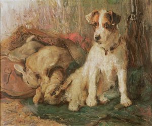 Fox-terrier avec le gibier du jour
